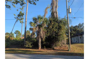 TBD BRANHAM STREET, NORTH PORT, FL 34291 - MLS#MFRTB8494831