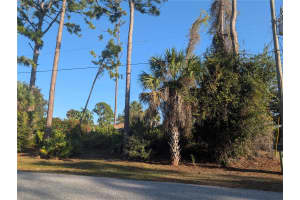 TBD BRANHAM STREET, NORTH PORT, FL 34291 - MLS#MFRTB8494831
