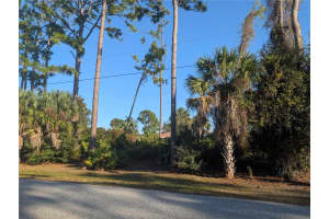 TBD BRANHAM STREET, NORTH PORT, FL 34291 - MLS#MFRTB8494831