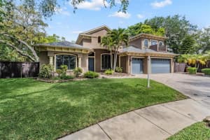 2233 Elcid Ct, PALM HARBOR