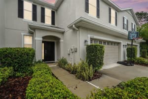 20542 Grand Vista Ln, TAMPA