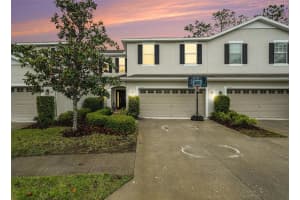 20542 GRAND VISTA LANE, TAMPA, FL 33647 - MLS#MFRTB8494846