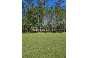 5058 DIANTHA WAY, BROOKSVILLE, FL 34604 - MLS#MFRTB8494884