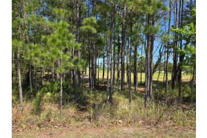 5058 DIANTHA WAY, BROOKSVILLE, FL 34604 - MLS#MFRTB8494884