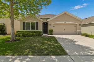 10004 Warm Stone St, THONOTOSASSA