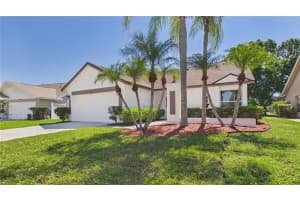 8609 BOYSENBERRY DRIVE, TAMPA, FL 33635 - MLS#MFRTB8494955