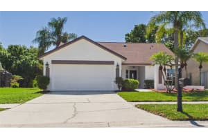 8609 BOYSENBERRY DRIVE, TAMPA, FL 33635 - MLS#MFRTB8494955