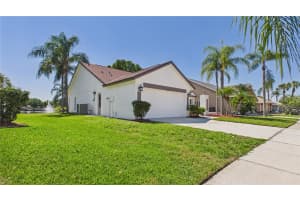 8609 BOYSENBERRY DRIVE, TAMPA, FL 33635 - MLS#MFRTB8494955