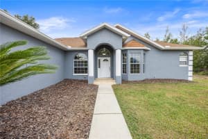 8628 133RD LANE ROAD, OCALA, FL 34473 - MLS#MFRTB8494989