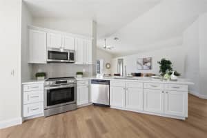29430 SEA DAHLIA PASS, WESLEY CHAPEL, FL 33543 - MLS#MFRTB8495018