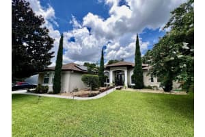 16325 MAGNOLIA BLUFF DRIVE, MONTVERDE, FL 34756 - MLS#MFRTB8495073