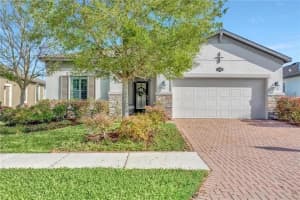 1607 FEATHER GRASS LOOP, LUTZ, FL 33558 - MLS#MFRTB8495075