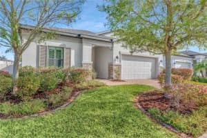 1607 FEATHER GRASS LOOP, LUTZ, FL 33558 - MLS#MFRTB8495075