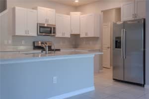 17711 NECTAR FLUME DRIVE, LAND O LAKES, FL 34638 - MLS#MFRTB8495076