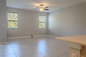 17711 NECTAR FLUME DRIVE, LAND O LAKES, FL 34638 - MLS#MFRTB8495076