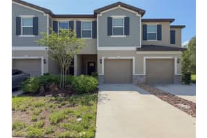 17608 NECTAR FLUME DRIVE, LAND O LAKES, FL 34638 - MLS#MFRTB8495107
