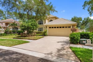 17648 NATHANS DRIVE, TAMPA, FL 33647 - MLS#MFRTB8495118