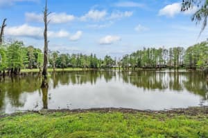 3428 VALLEY RANCH DRIVE, LUTZ, FL 33548 - MLS#MFRTB8495126