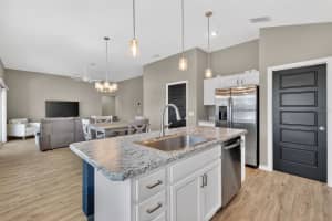 2493 LIGHTBODY LANE, THE VILLAGES, FL 32163 - MLS#MFRTB8495134