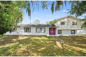 3101 KINGS AVENUE, BRANDON, FL 33511 - MLS#MFRTB8495146