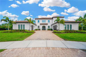 16419 Chapman Crossing Dr, LITHIA