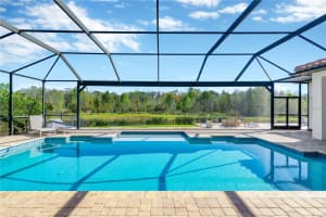 16419 CHAPMAN CROSSING DRIVE, LITHIA, FL 33547 - MLS#MFRTB8495152