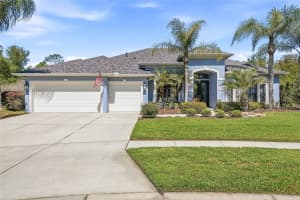 7101 Hatpin Loop, WESLEY CHAPEL