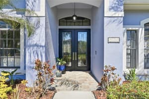 7101 HATPIN LOOP, WESLEY CHAPEL, FL 33545 - MLS#MFRTB8495168