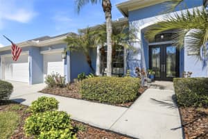 7101 HATPIN LOOP, WESLEY CHAPEL, FL 33545 - MLS#MFRTB8495168