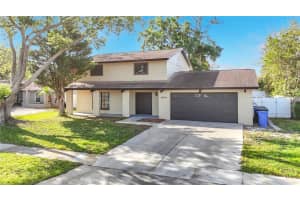 4012 Braesgate Ln, TAMPA