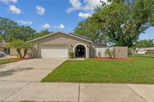 15824 KNOLLVIEW DRIVE, TAMPA, FL 33624 - MLS#MFRTB8495184