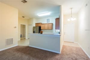 8117 ALAMOSA WOOD AVENUE, RUSKIN, FL 33573 - MLS#MFRTB8495193