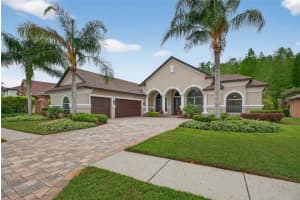 1607 ABYSS DRIVE, ODESSA, FL 33556 - MLS#MFRTB8495200