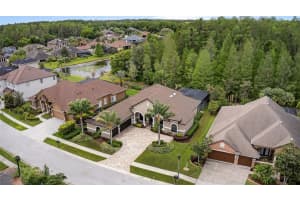 1607 ABYSS DRIVE, ODESSA, FL 33556 - MLS#MFRTB8495200