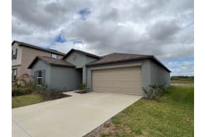 11237 LINDEN DEPOT ROAD, SAN ANTONIO, FL 33576 - MLS#MFRTB8495215