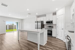 10715 IRONWOOD TREE WAY, SAN ANTONIO, FL 33576 - MLS#MFRTB8495216