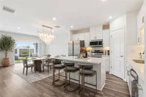 10715 IRONWOOD TREE WAY, SAN ANTONIO, FL 33576 - MLS#MFRTB8495216
