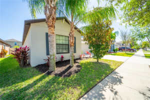 9708 SAGE CREEK DRIVE, SUN CITY CENTER, FL 33573 - MLS#MFRTB8495218