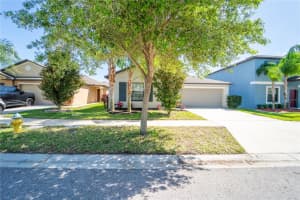 9708 SAGE CREEK DRIVE, SUN CITY CENTER, FL 33573 - MLS#MFRTB8495218