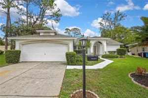 8015 SUGARBUSH DRIVE, SPRING HILL, FL 34606 - MLS#MFRTB8495233