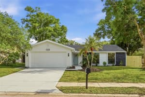 1023 MINEOLA CIRCLE, PALM HARBOR, FL 34683 - MLS#MFRTB8495245