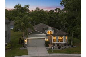 12417 CORALBEAN COURT, NEW PORT RICHEY, FL 34654 - MLS#MFRTB8495248