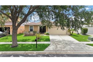 11154 RUNNING PINE DRIVE, RIVERVIEW, FL 33569 - MLS#MFRTB8495258