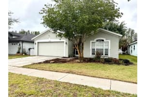 30630 Nickerson Loop, WESLEY CHAPEL