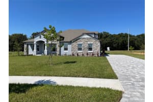 10060 DOLPHIN GULL CIRCLE, THONOTOSASSA, FL 33592 - MLS#MFRTB8495279