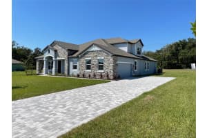 10060 DOLPHIN GULL CIRCLE, THONOTOSASSA, FL 33592 - MLS#MFRTB8495279