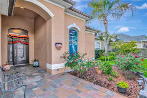 11602 WINDSORTON WAY, TAMPA, FL 33626 - MLS#MFRTB8495293