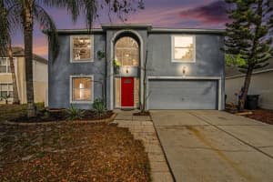 10317 FROG POND DRIVE, RIVERVIEW, FL 33569 - MLS#MFRTB8495295
