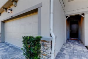 19388 GREAT INTENTION WAY, LUTZ, FL 33558 - MLS#MFRTB8495312