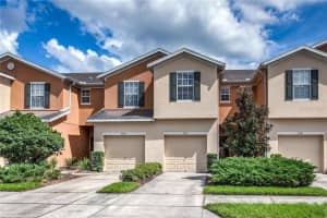 5014 White Sanderling Ct, TAMPA